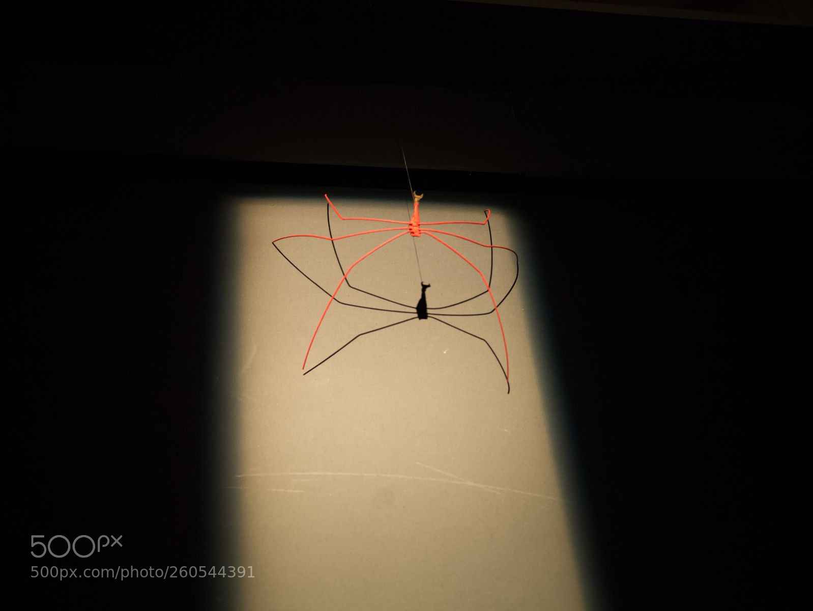 Panasonic Lumix DMC-G3 sample photo. Itsy bitsy spider photography