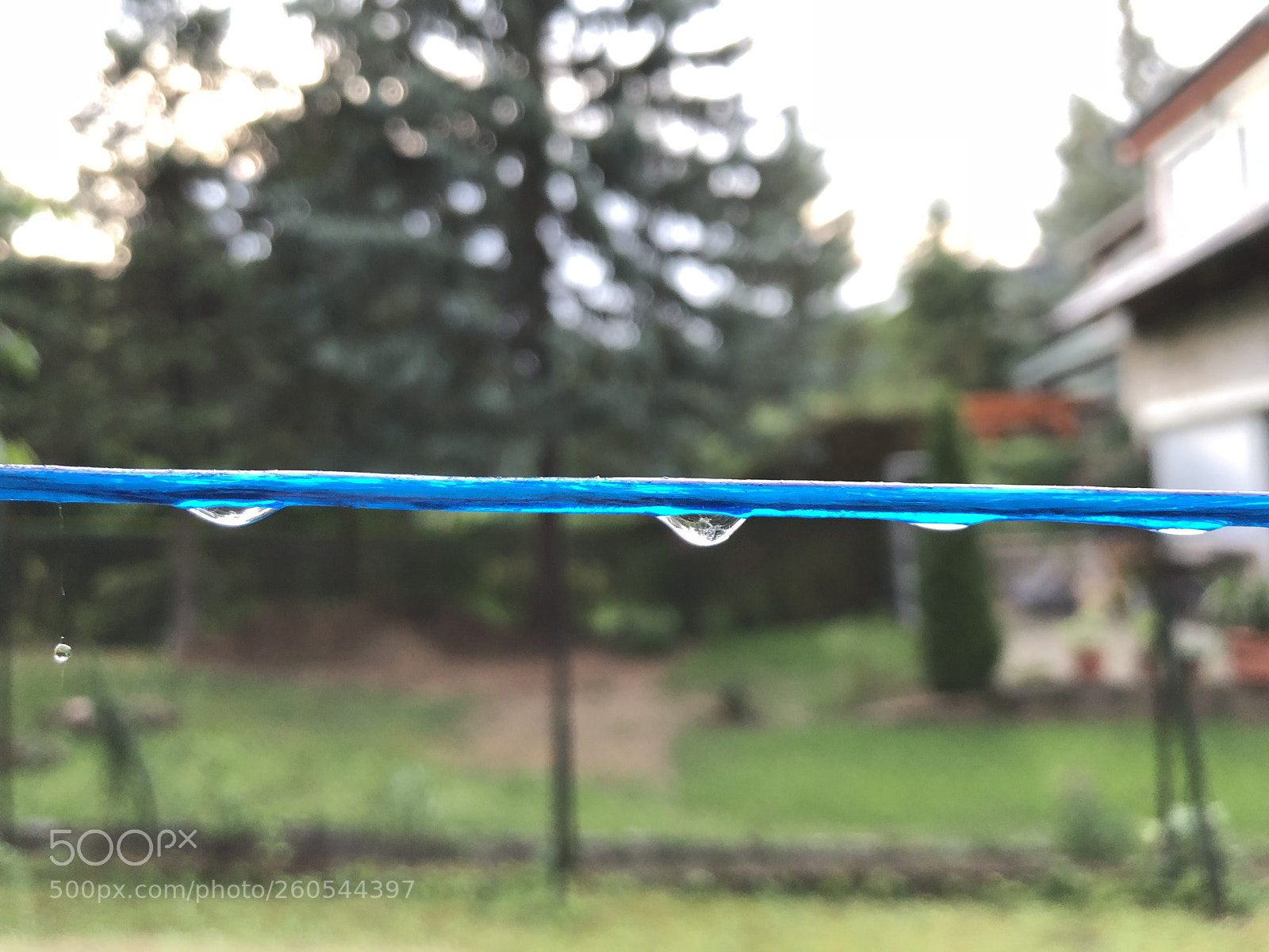 Apple iPhone X sample photo. Untitled photography