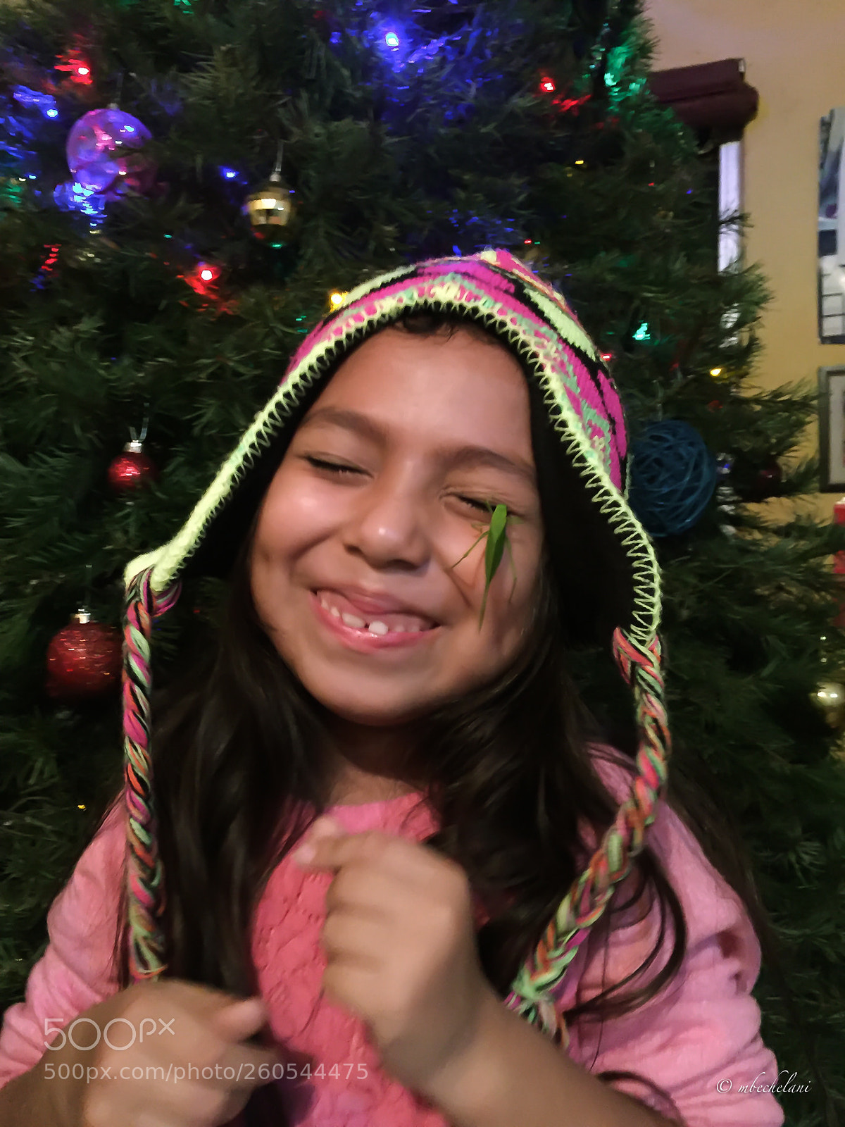 Apple iPhone 6 sample photo. Img photography