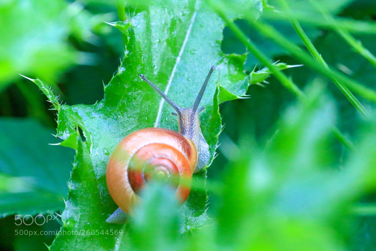 Canon EOS 7D Mark II sample photo. A photography