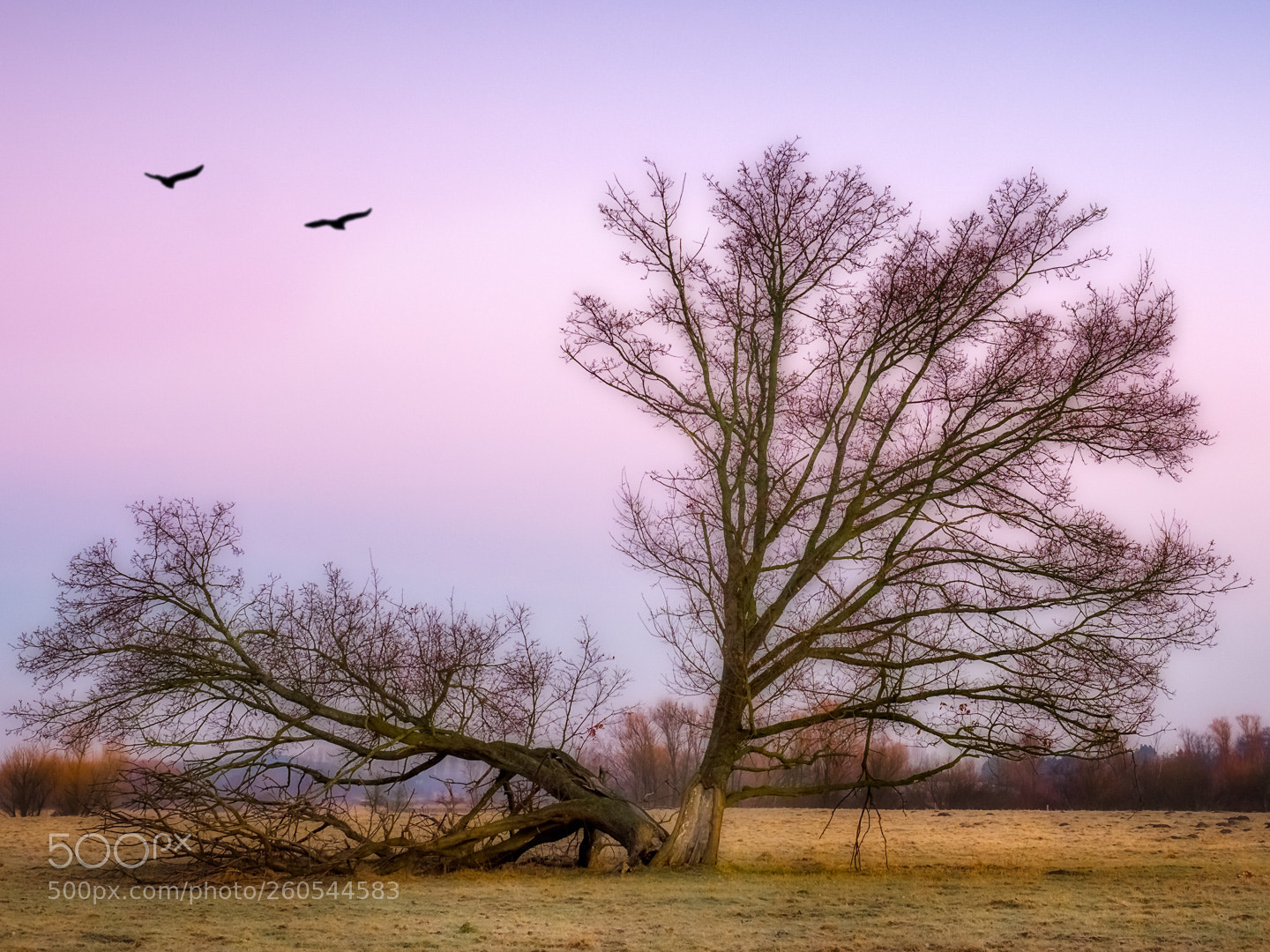 Olympus OM-D E-M1 sample photo. Before sunrise. photography