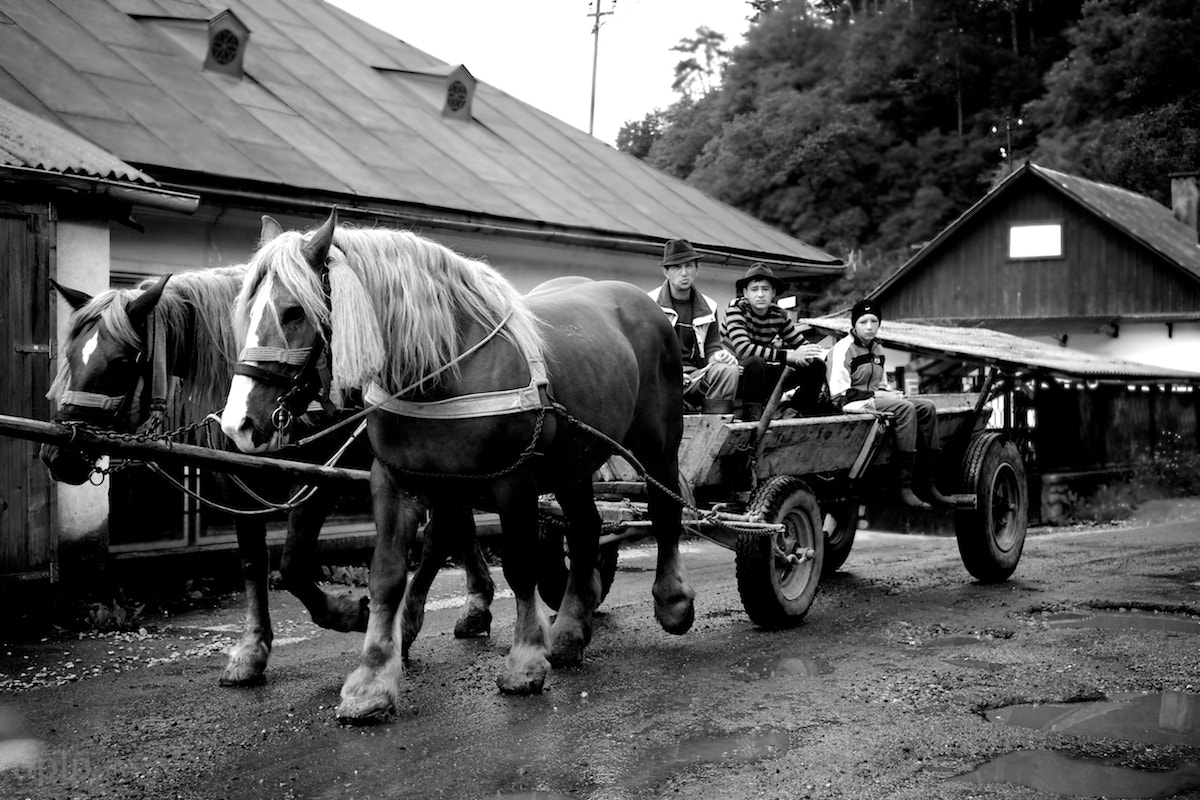 Fujifilm X-Pro1 sample photo. Maramures photography