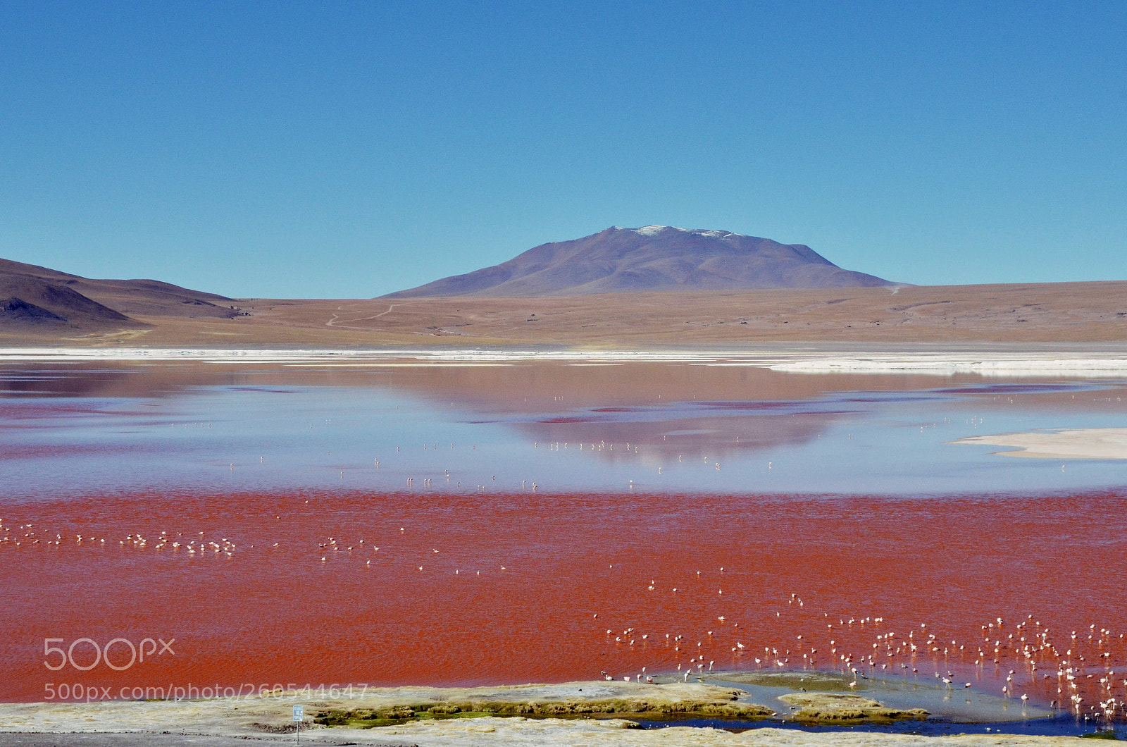 Nikon D7000 sample photo. Laguna colorada photography