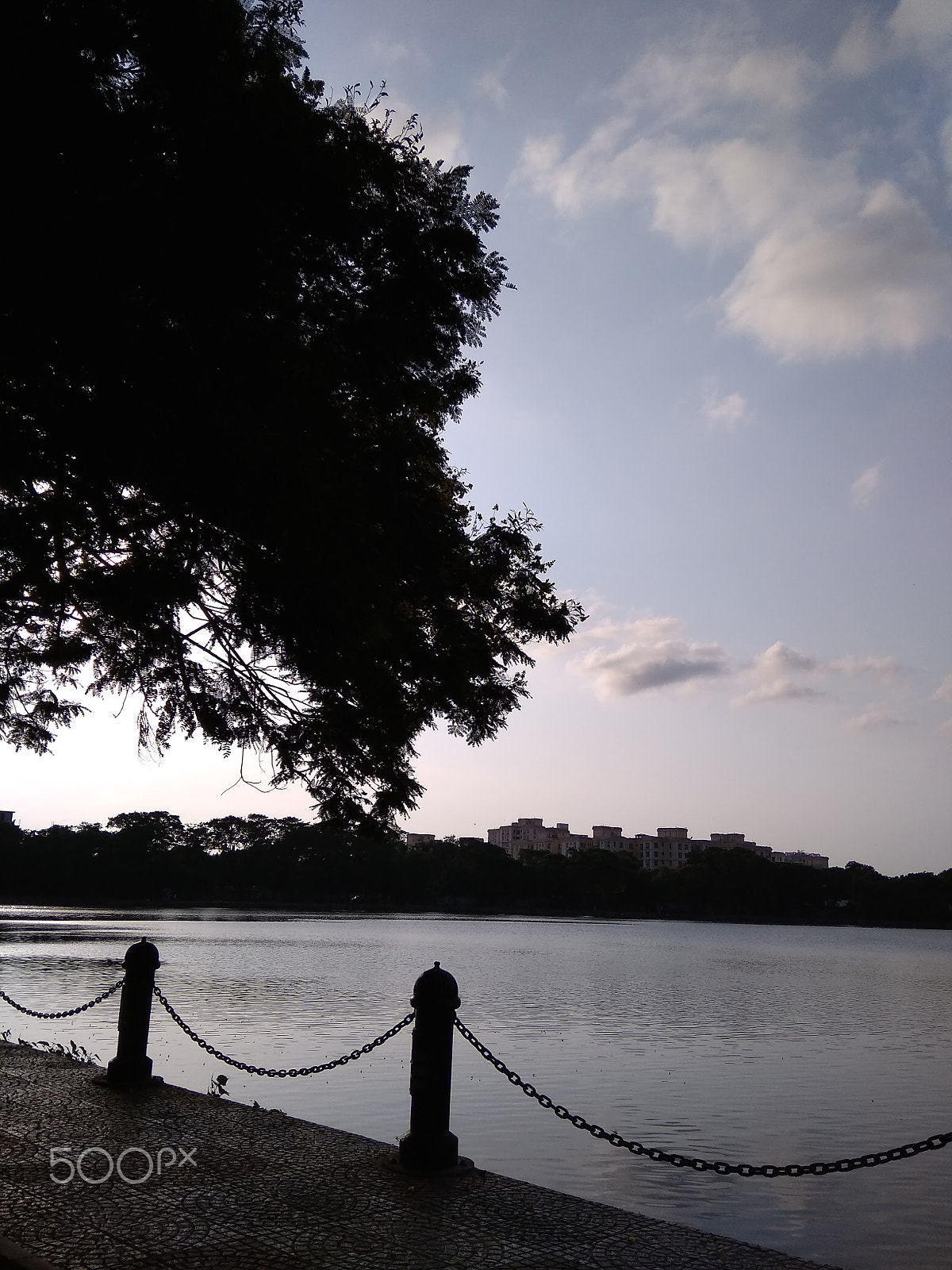 Xiaomi Redmi 5A sample photo. Img_20180526_164823.jpg photography