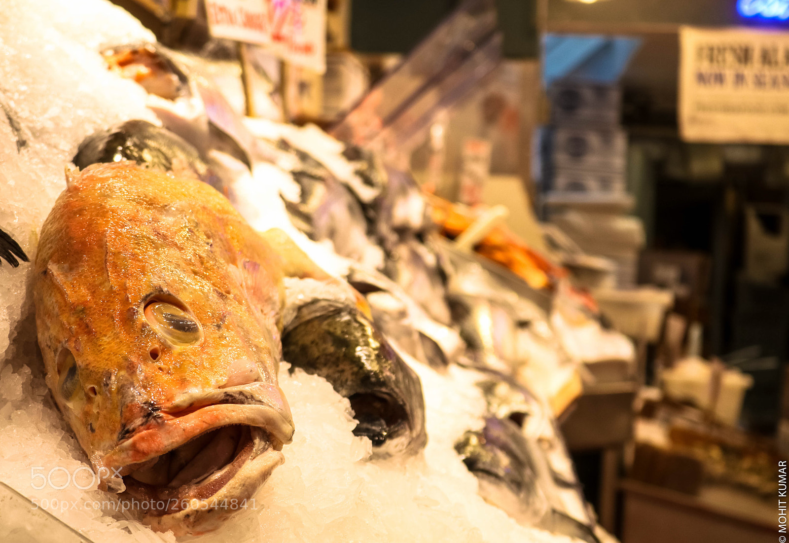Canon EOS 80D sample photo. Fish -> food photography