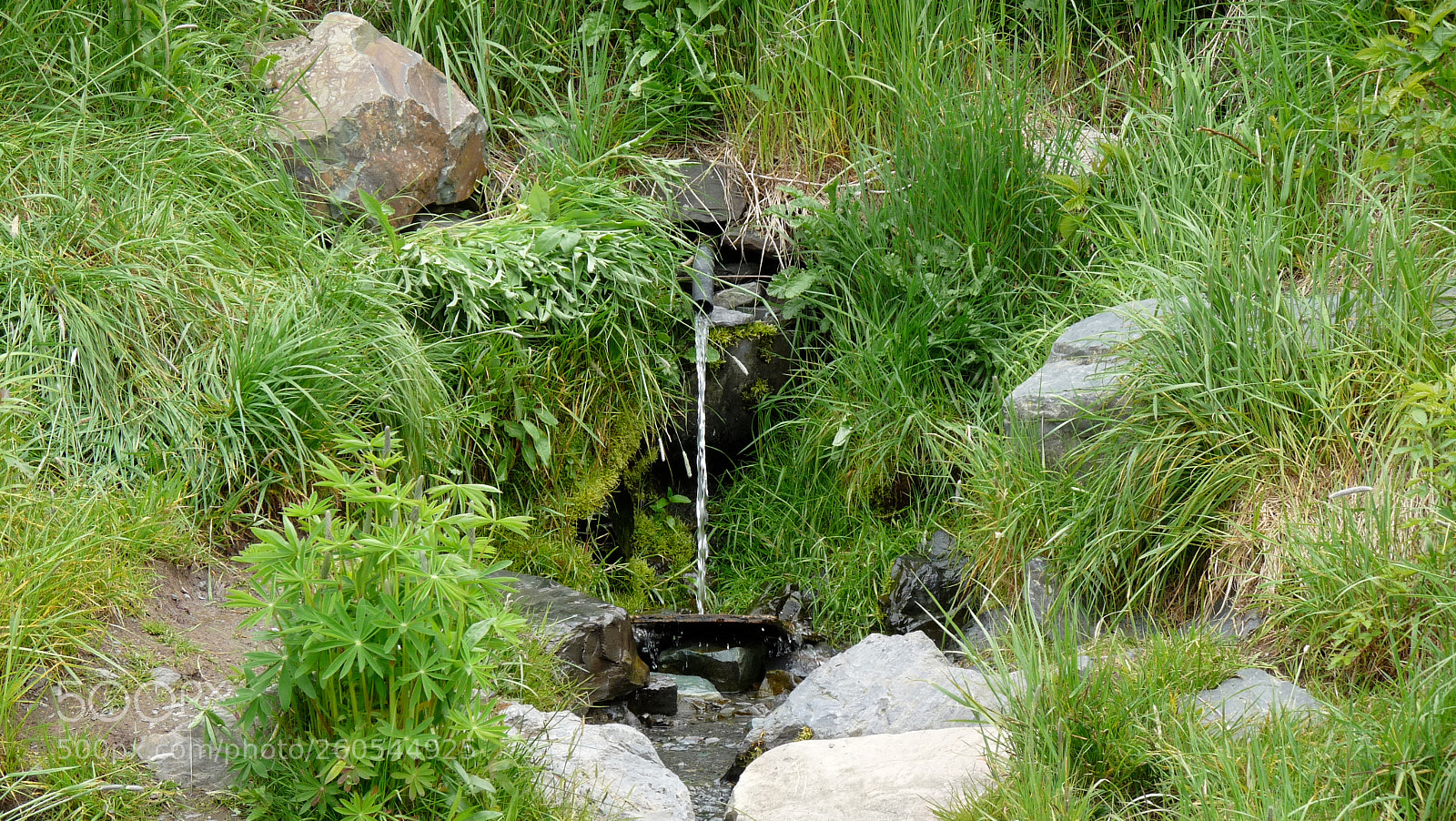 Panasonic Lumix DMC-FZ28 sample photo. Natural beauity photography