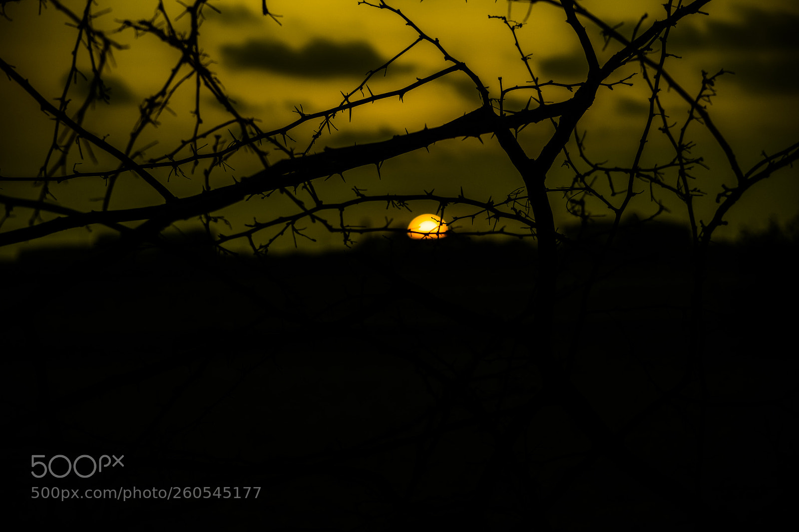 Nikon D5300 sample photo. Sunset in salinas photography