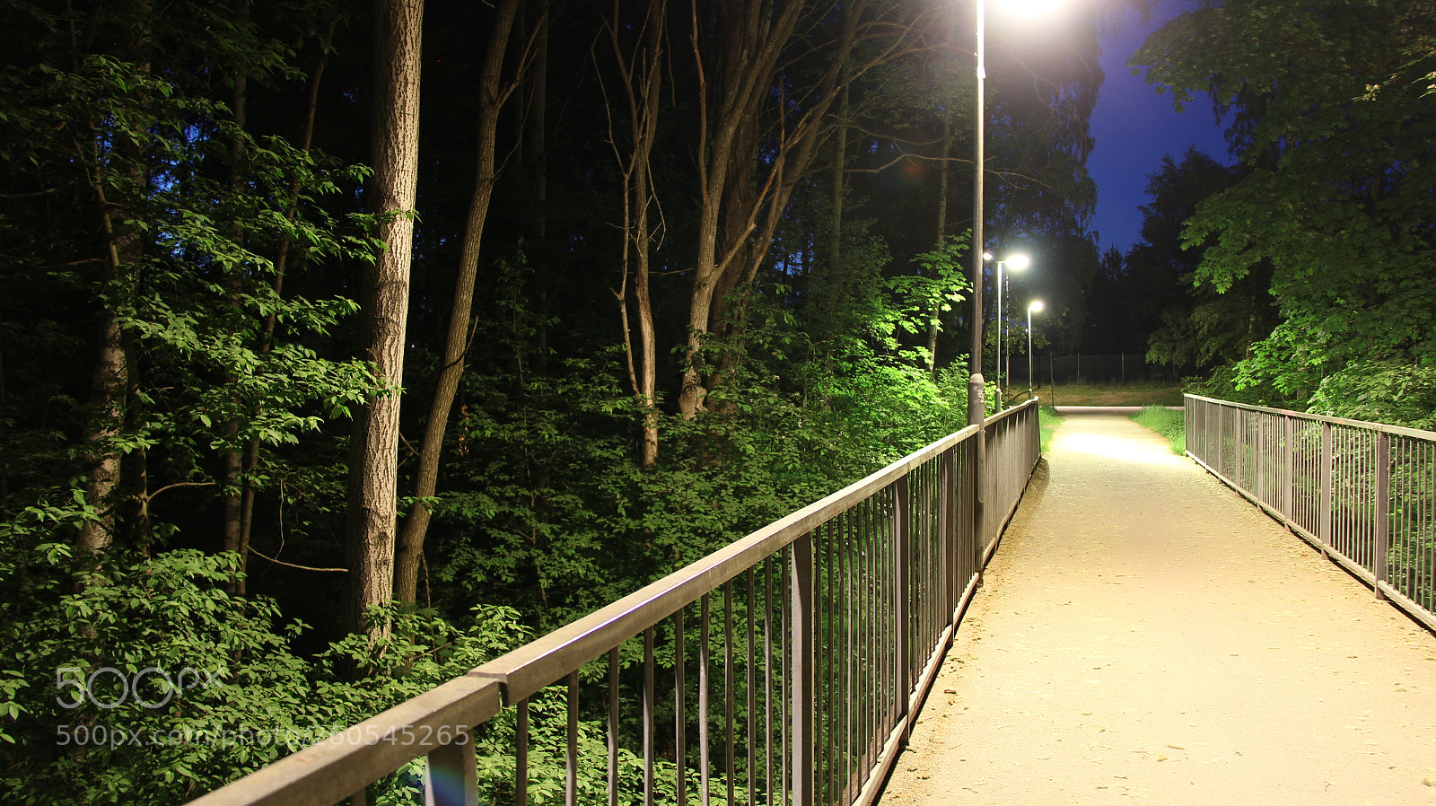 Canon EF-S 18-200mm F3.5-5.6 IS sample photo. Midnightphoto photography