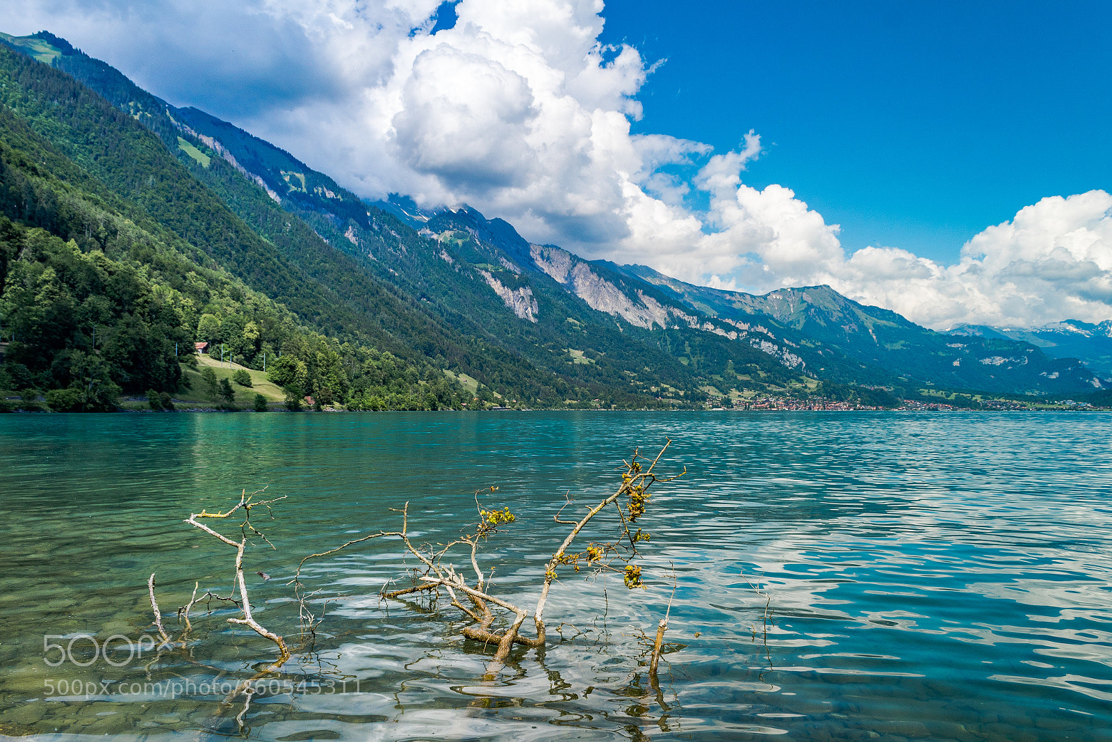 Canon EOS 1300D (EOS Rebel T6 / EOS Kiss X80) sample photo. Brienzersee photography