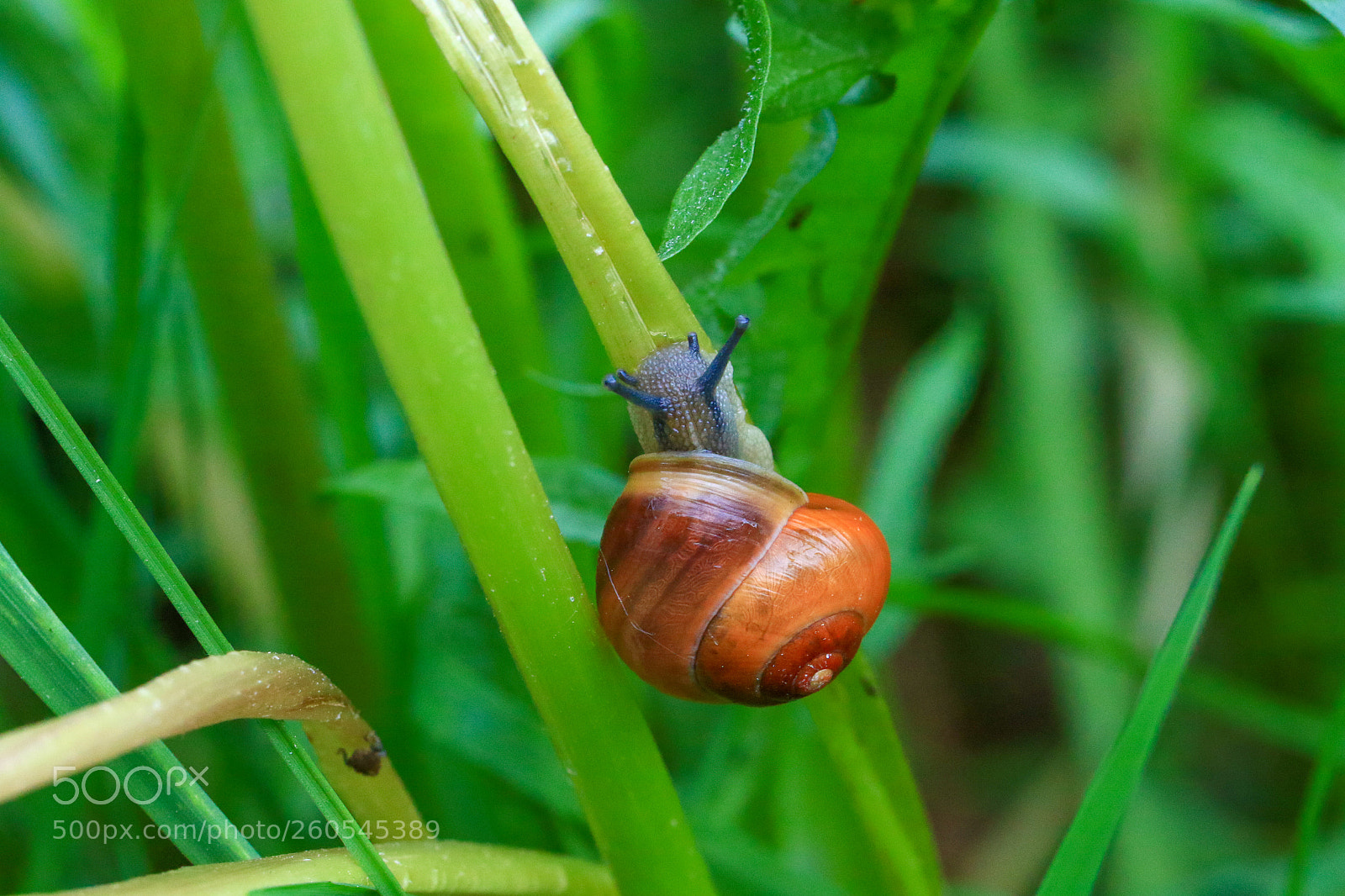 Canon EOS 7D Mark II sample photo. A photography