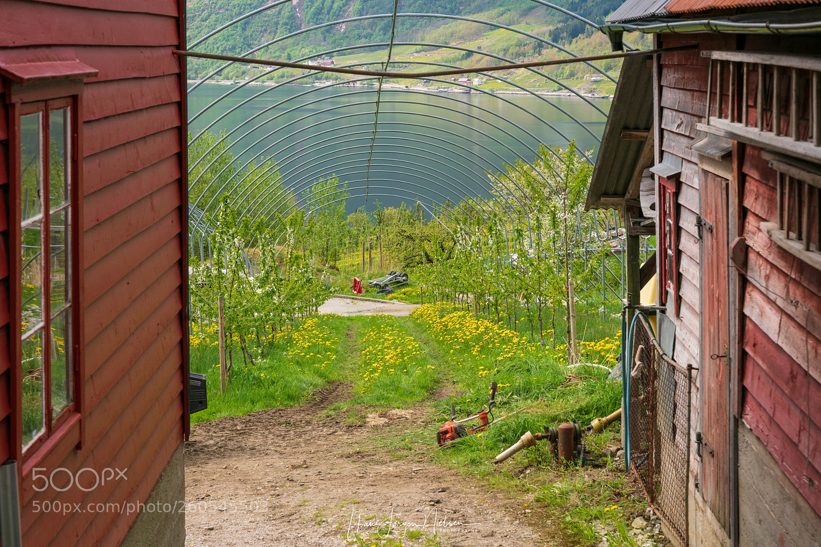 Sony a7R II sample photo. Fruit tree farming in photography