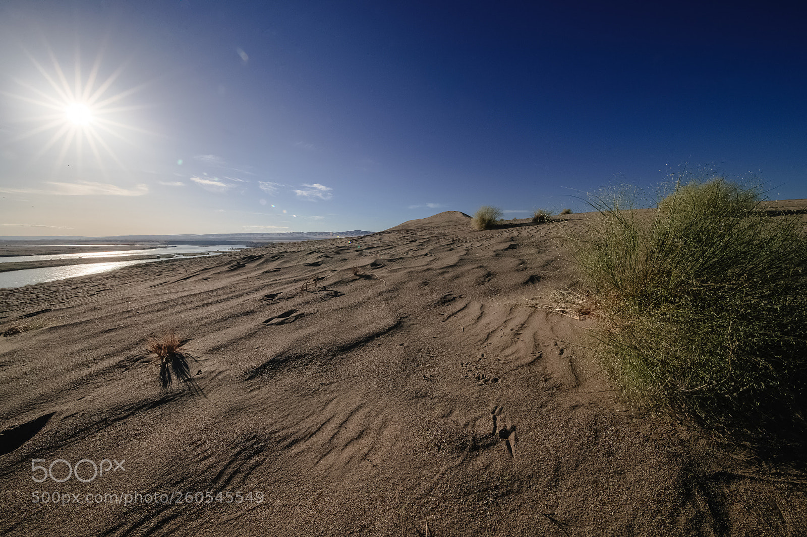 Canon EOS-1D X Mark II sample photo. Arid photography