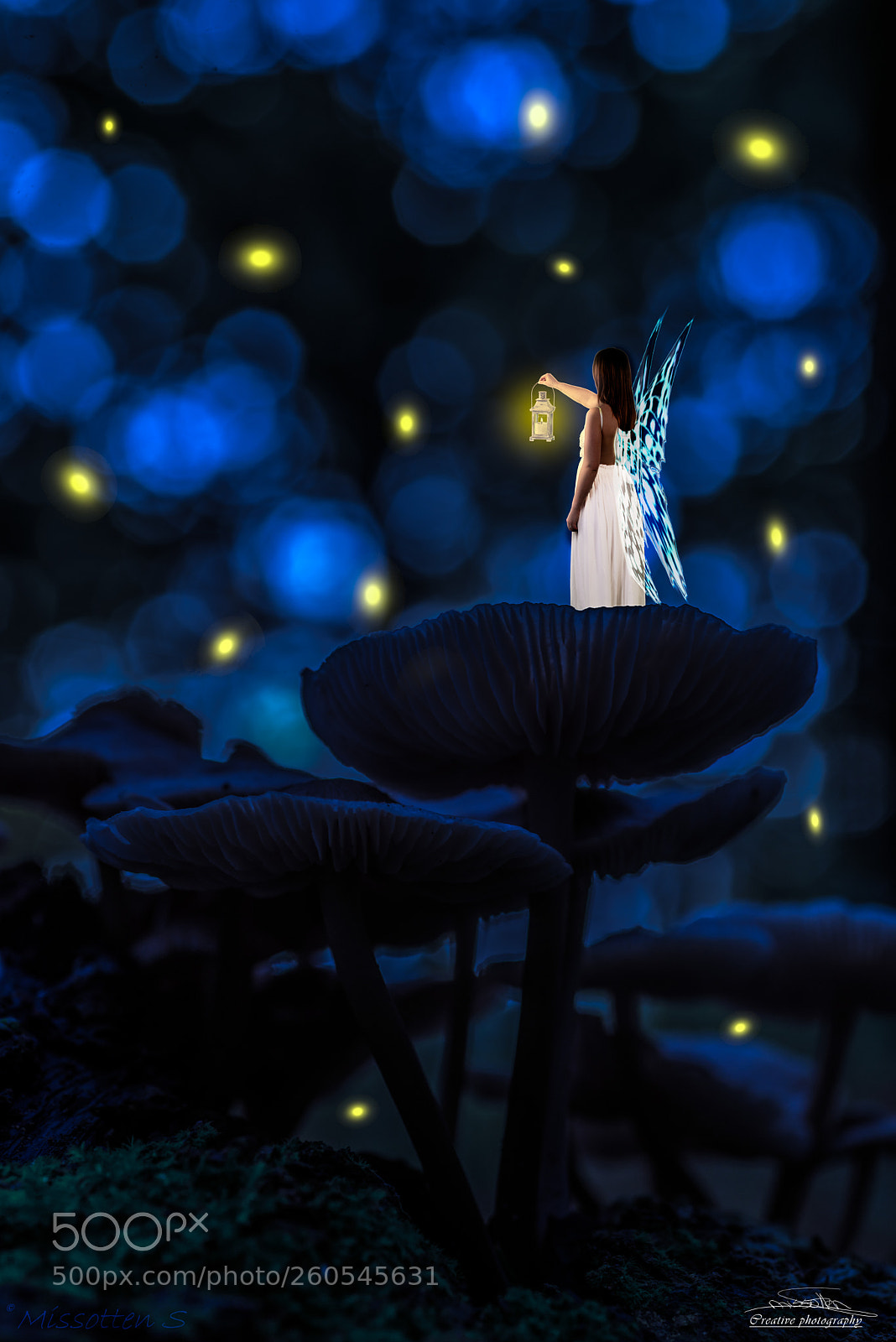 Nikon D750 sample photo. Origins of will-o'-the-wisp photography
