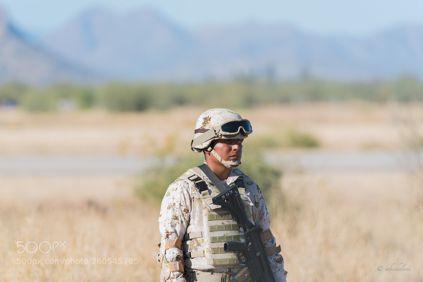 Nikon D810 sample photo. Mbs photography