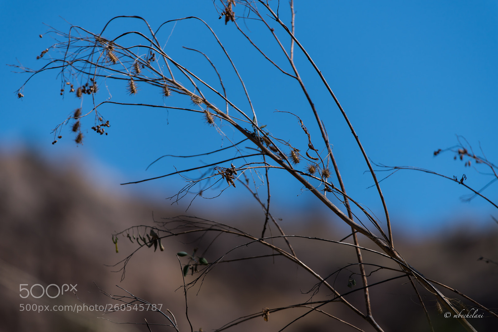 Nikon D810 sample photo. Mbs photography