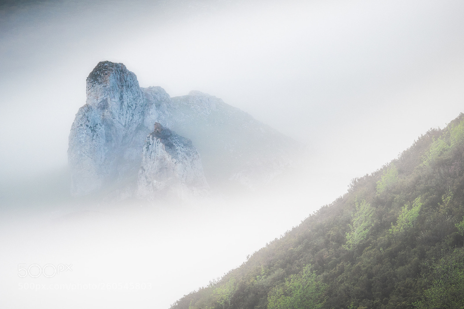 Olympus OM-D E-M1 sample photo. Sunrise mist photography