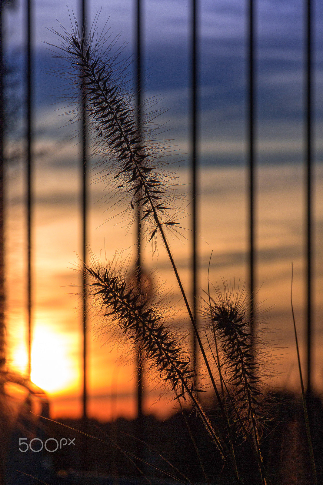Canon EOS 650D (EOS Rebel T4i / EOS Kiss X6i) sample photo. Sunset photography