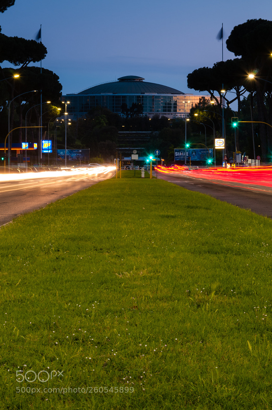 Nikon D300 sample photo. Vdl photography