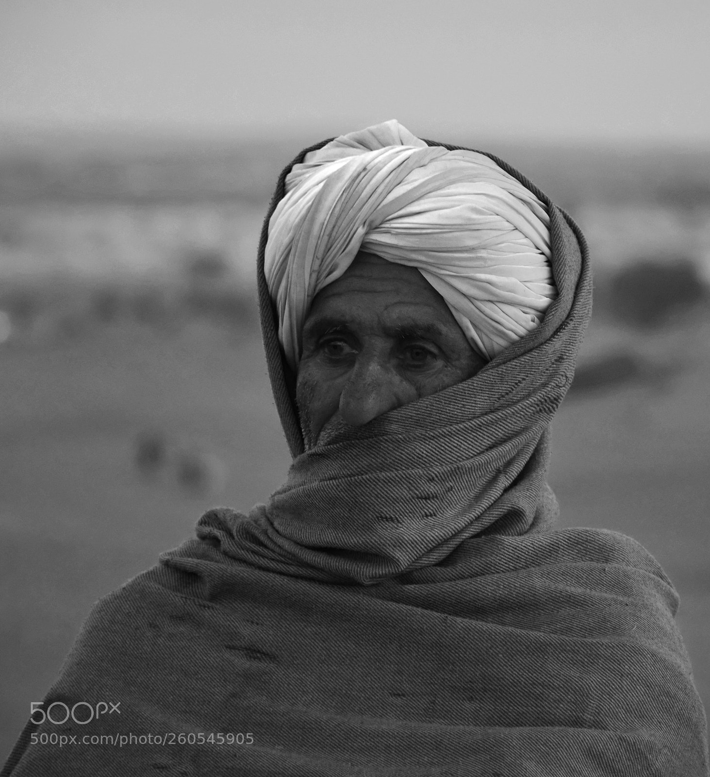 Nikon D5300 sample photo. Sentinel of the desert photography