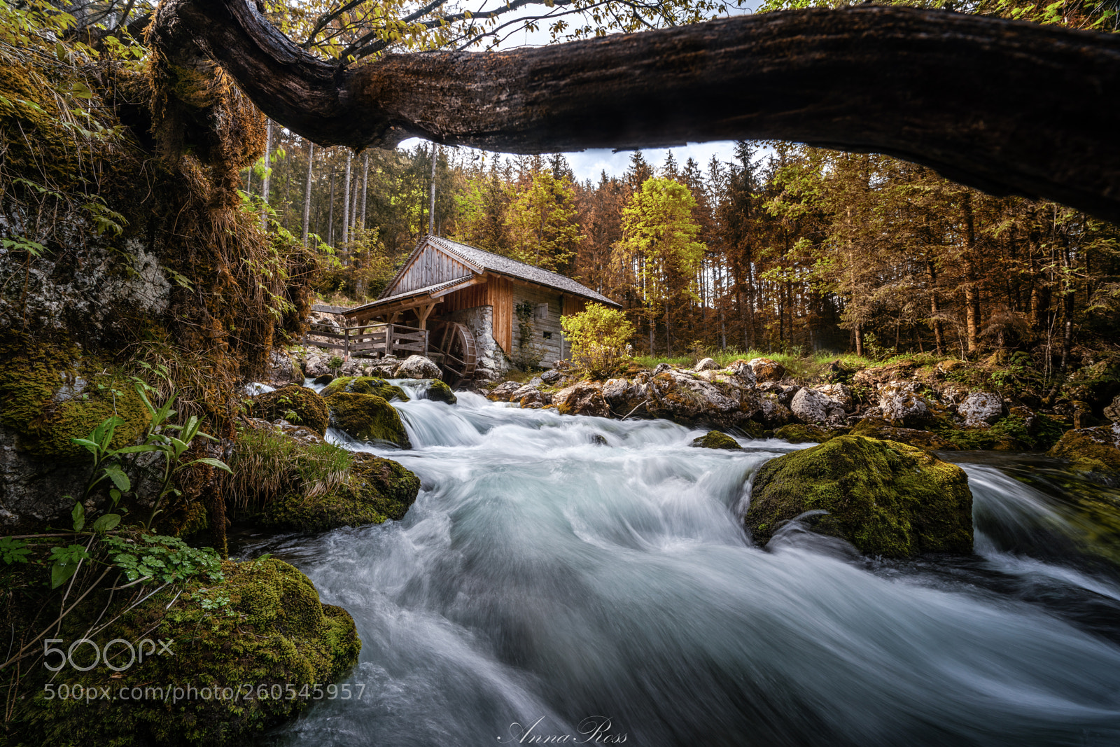 Sony a7R II sample photo. Edit edit edit edit photography