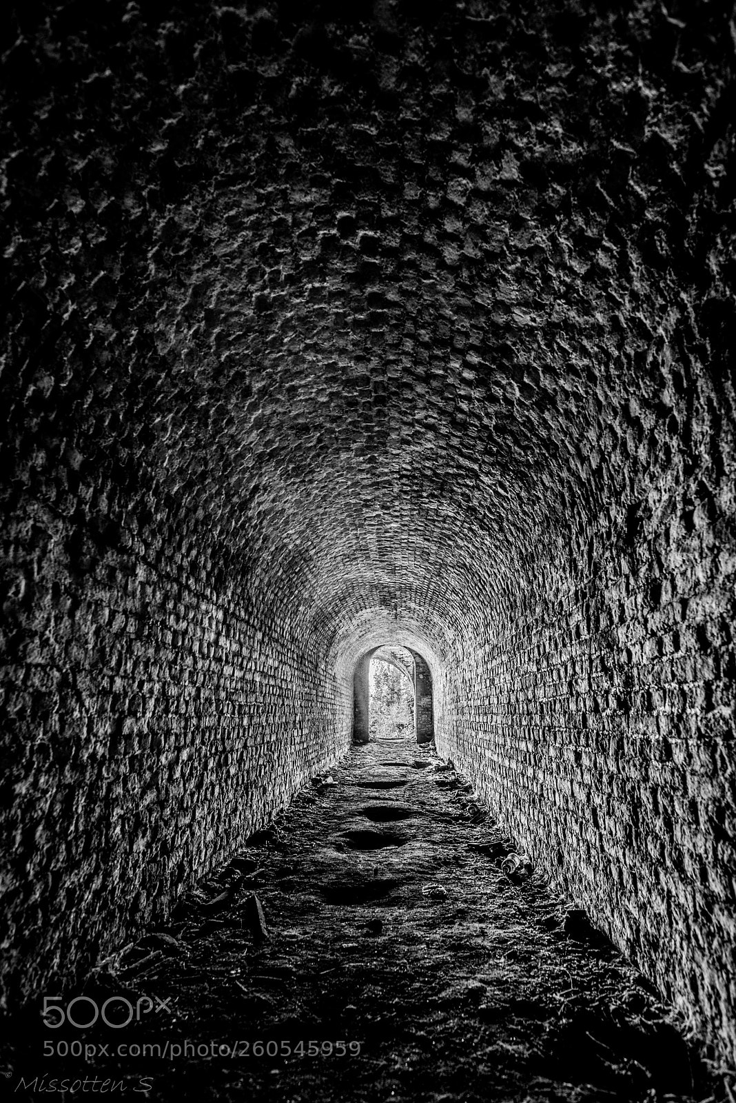 Nikon D750 sample photo. Tunnel photography
