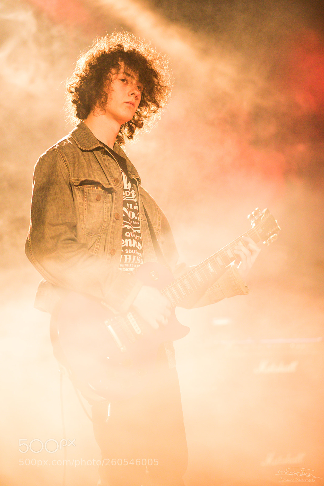 Nikon D750 sample photo. Rock concert photography