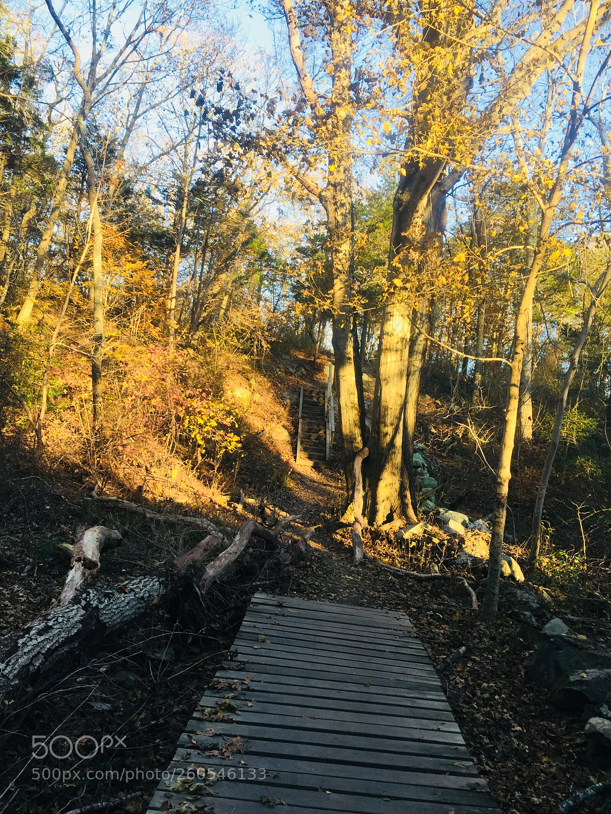 Apple iPhone 6 Plus sample photo. Way of the path photography