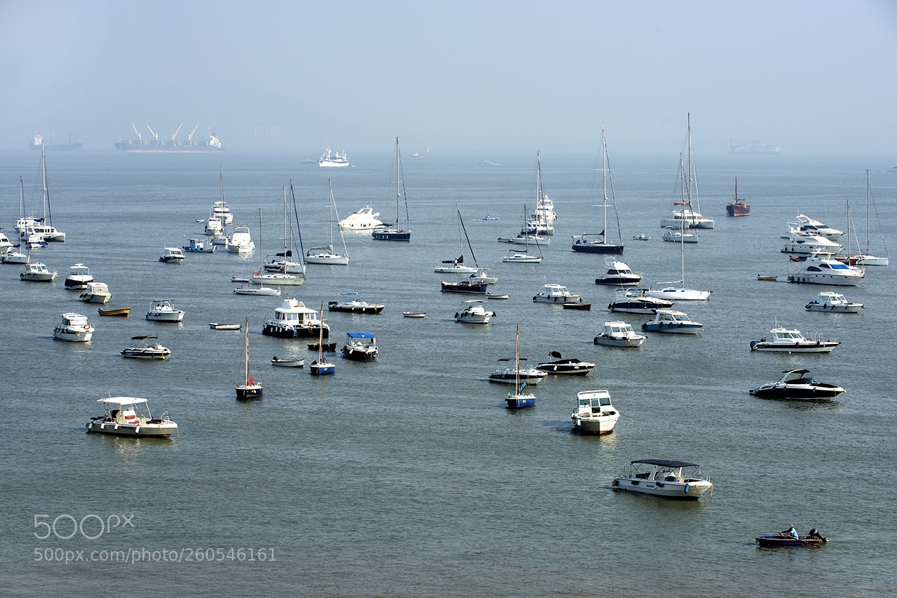 Nikon D810 sample photo. Port photography