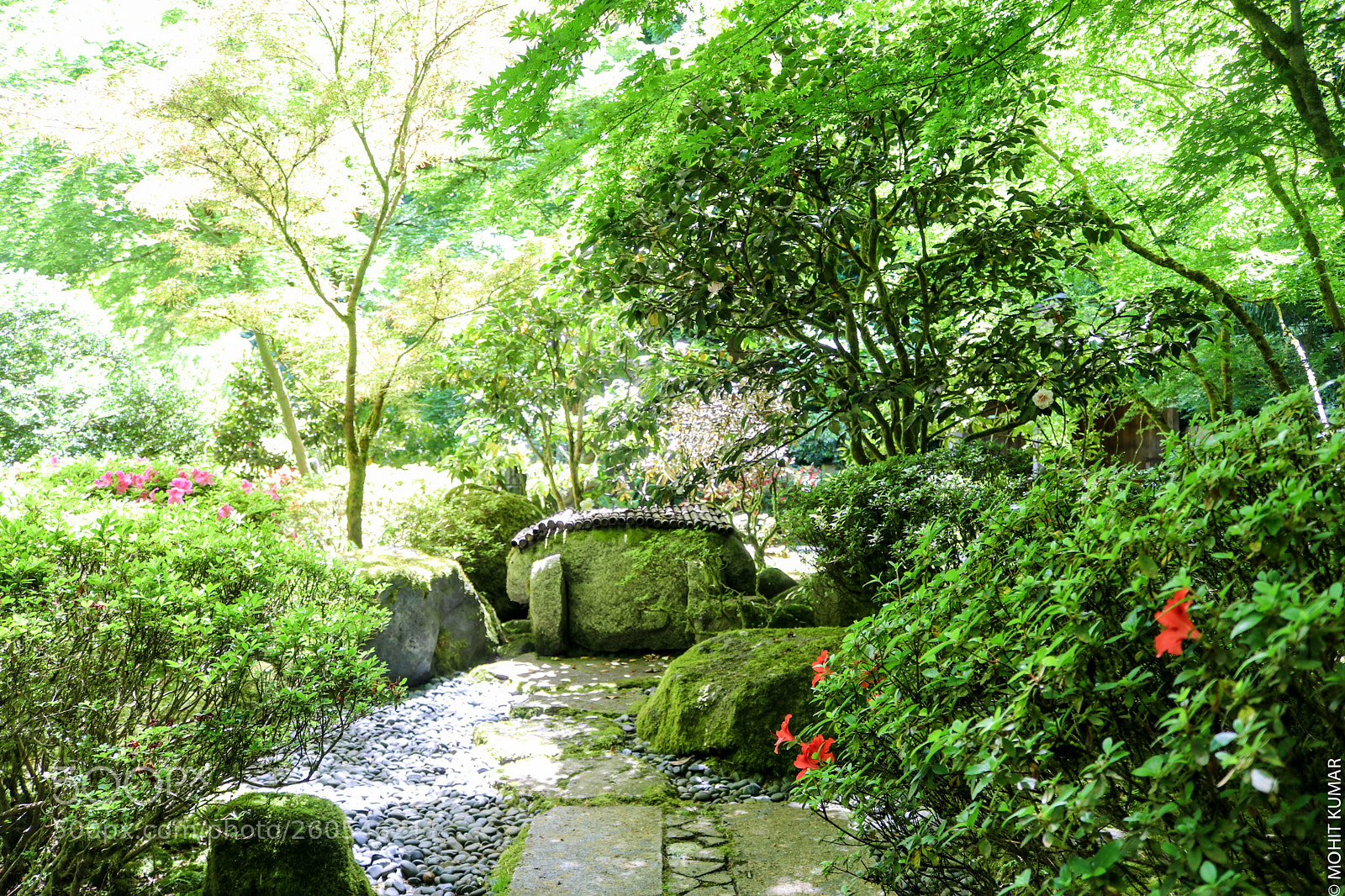 Canon EOS 80D sample photo. Nature seat photography