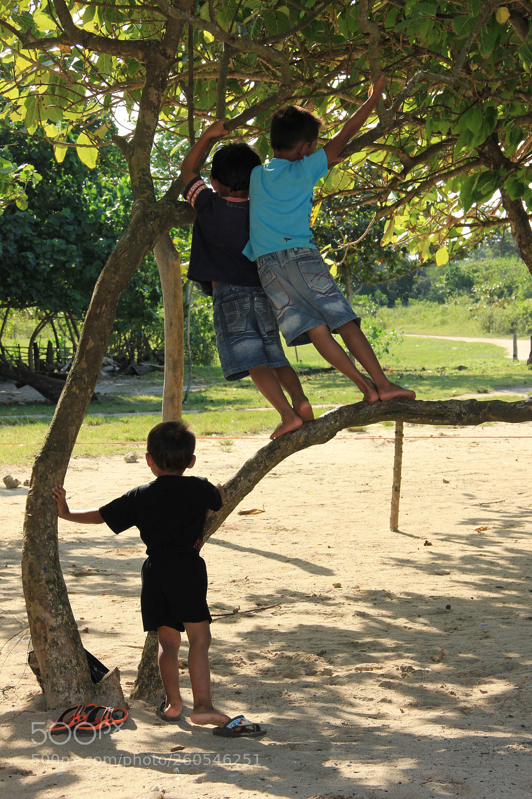 Canon EOS 550D (EOS Rebel T2i / EOS Kiss X4) sample photo. Waiting, hoping, anticipating photography