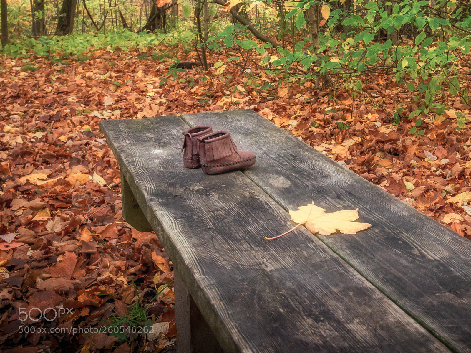 Nikon D600 sample photo. Canada photography