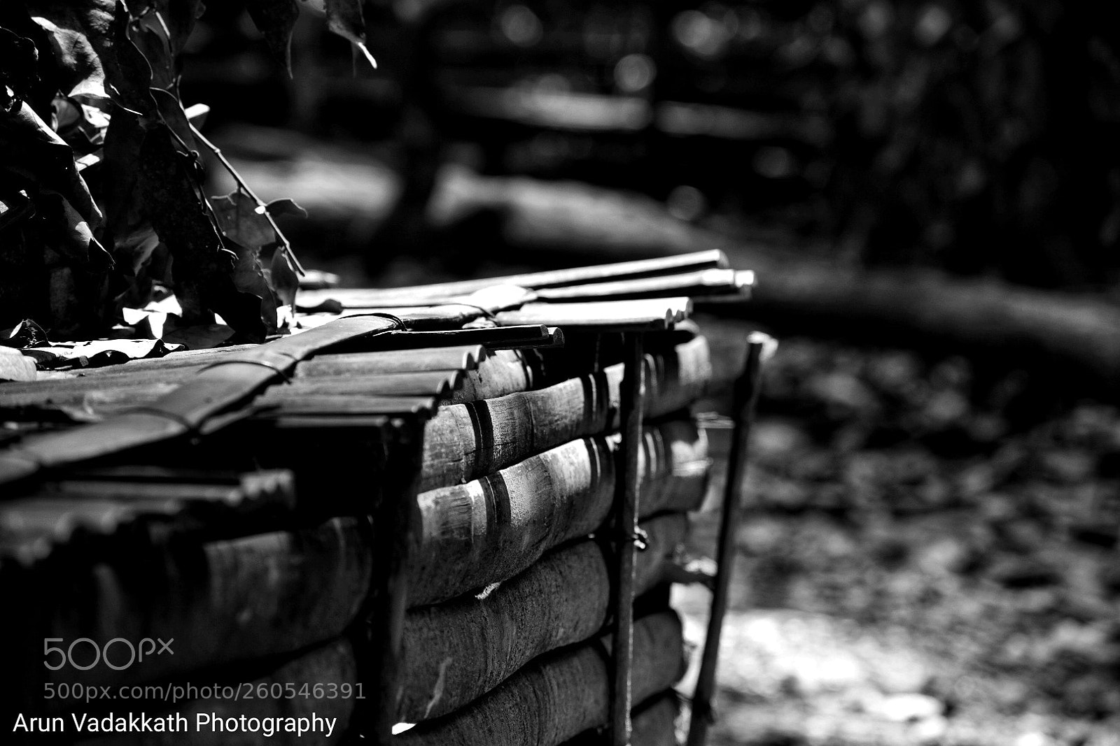 Nikon D3400 sample photo. Forgotten forever photography