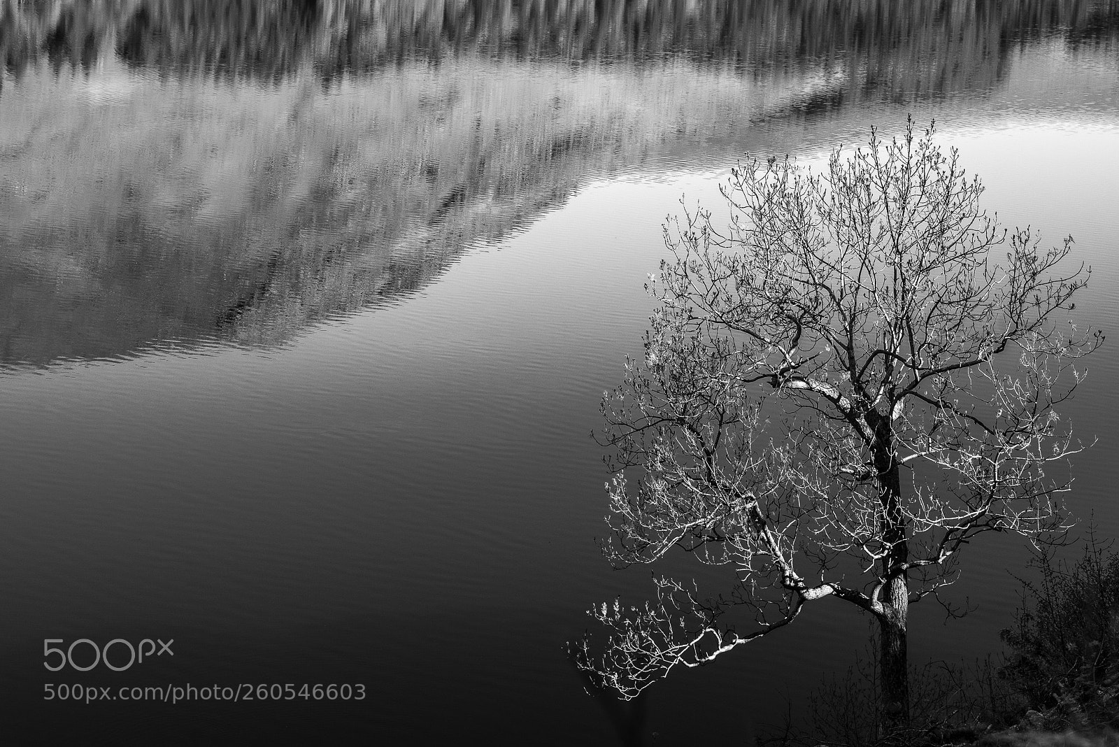 Nikon D750 sample photo. Hawesdale reflection photography
