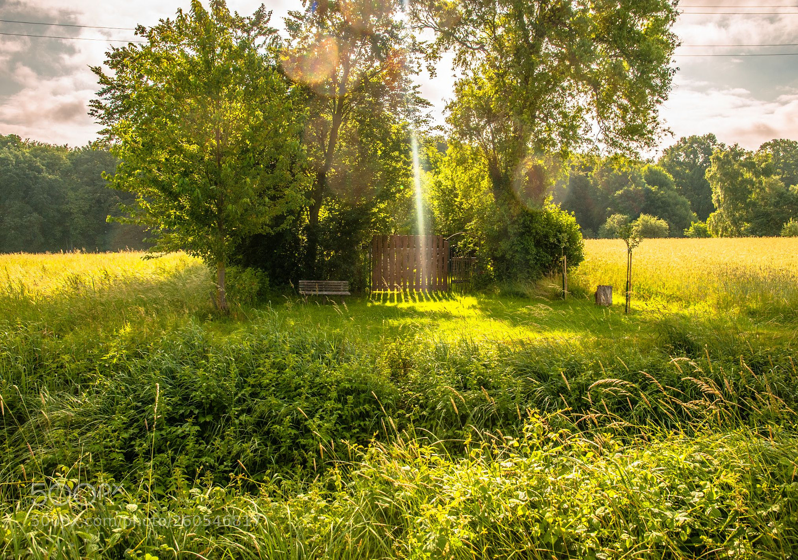 Nikon D300 sample photo. A quiet place photography