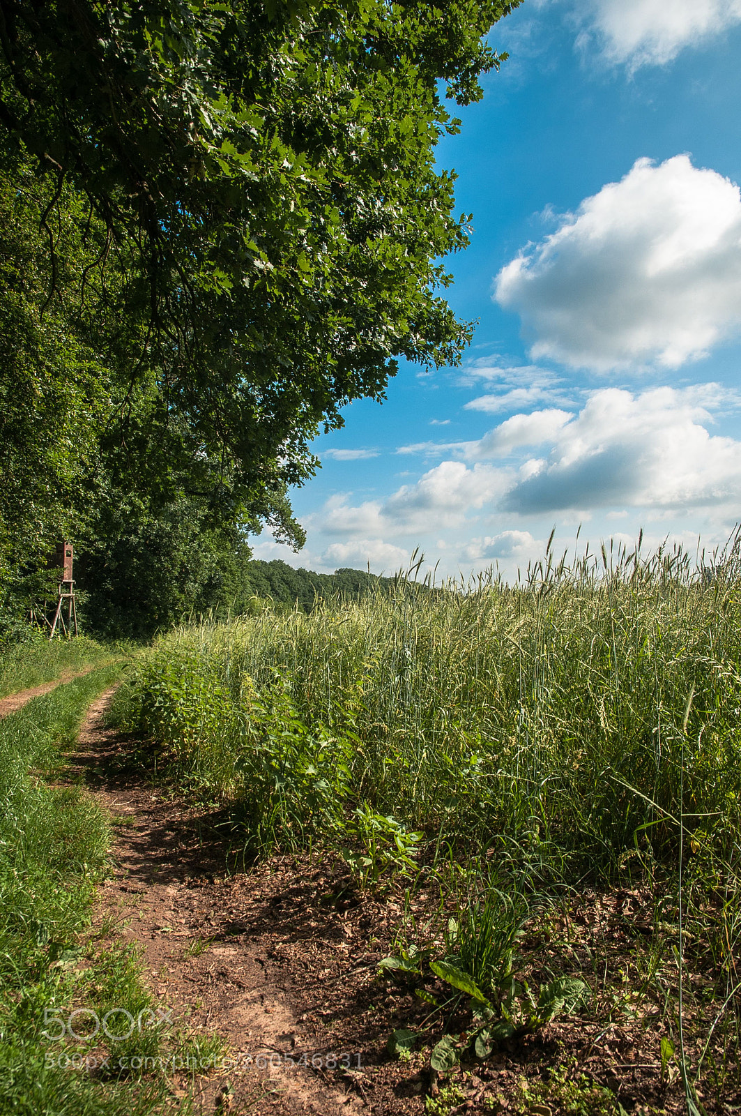 Nikon D300 sample photo. In front der kurve photography