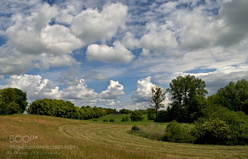 Nikon D5100 sample photo. Summer haymaking... photography