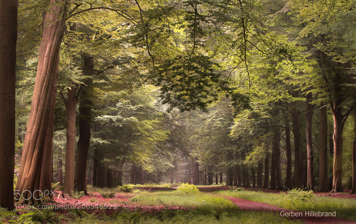 Canon EOS 7D sample photo. Spring photography