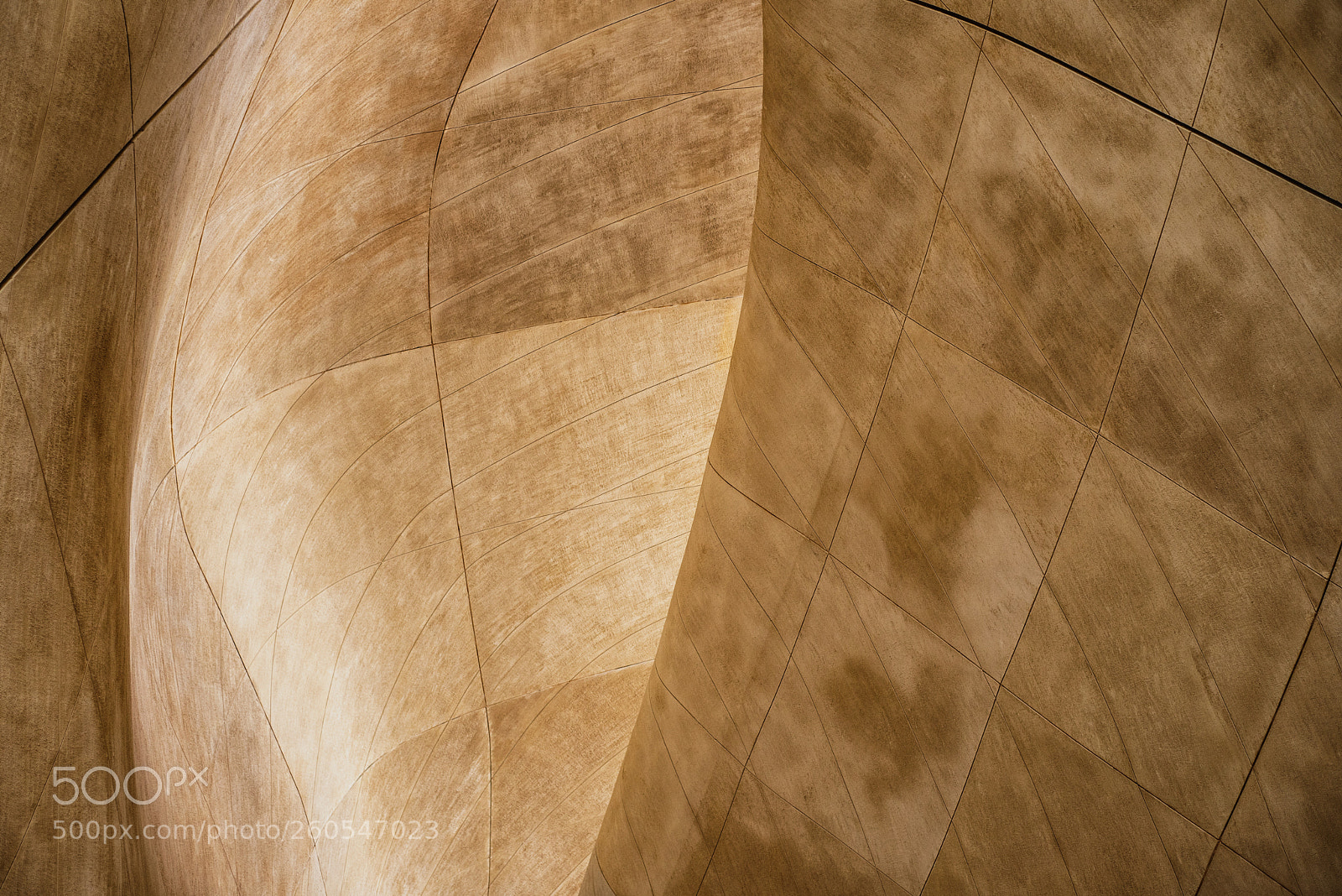 Nikon D750 sample photo. Polin museum of the photography