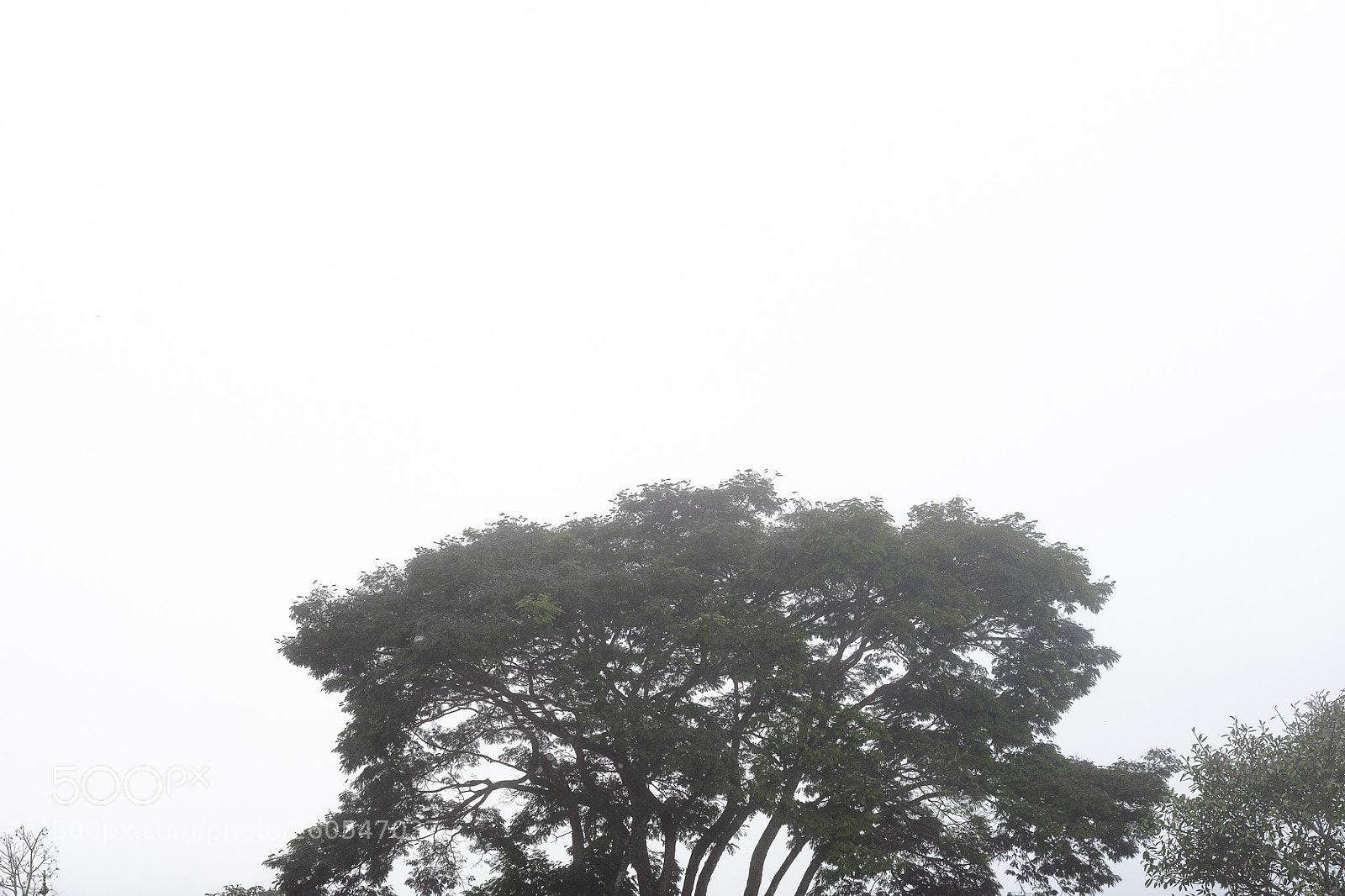 Nikon D7200 sample photo. Untitled photography