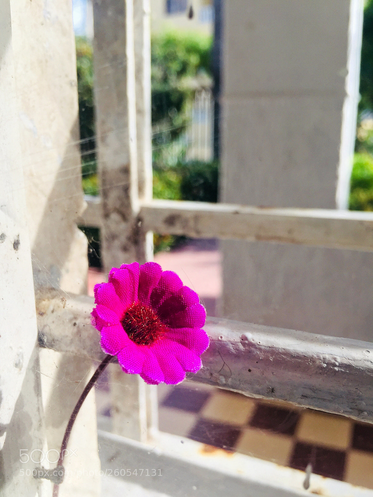 Apple iPhone 6 sample photo. Flor a la ventana  photography