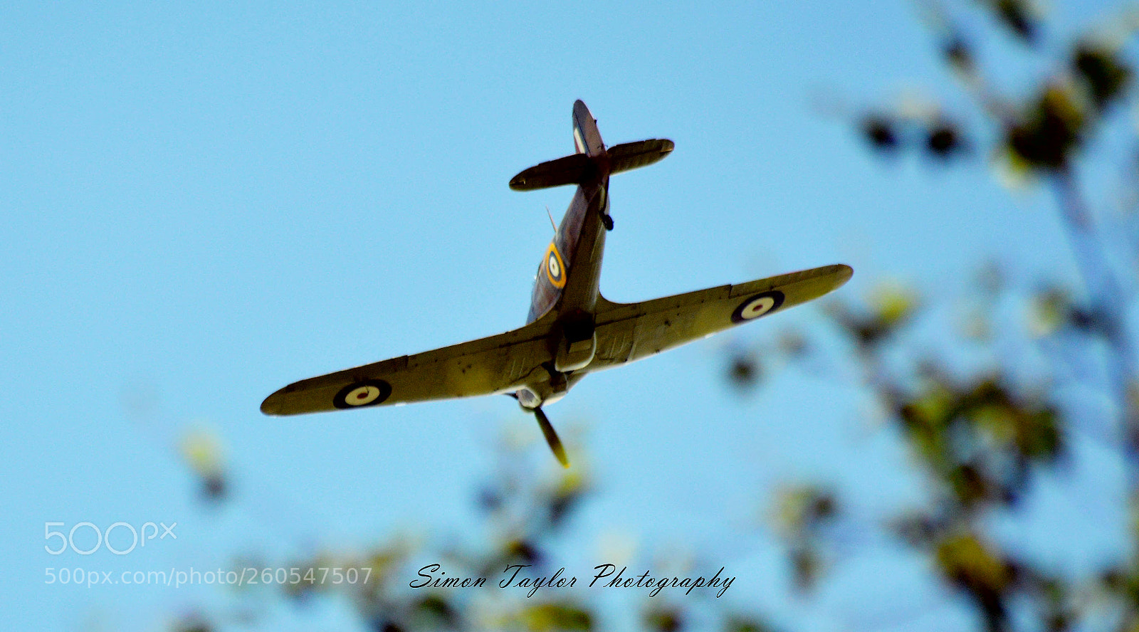 Nikon D3200 sample photo. Untitled photography
