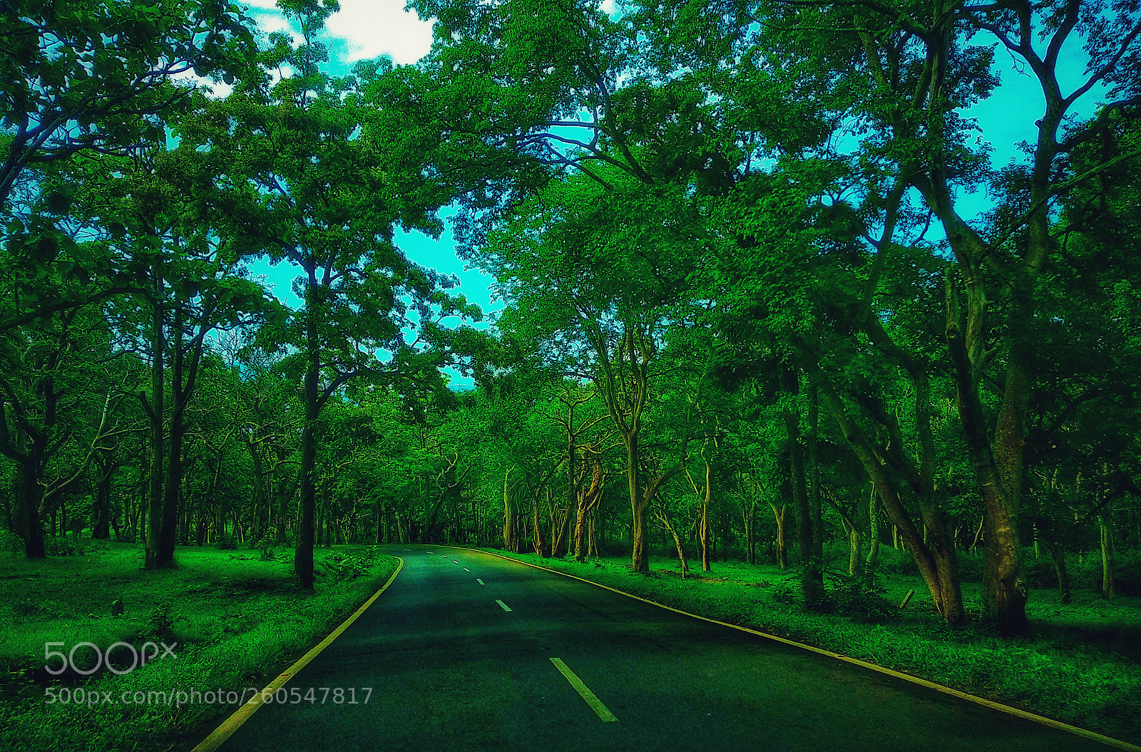 Xiaomi Mi A1 sample photo. Untitled photography