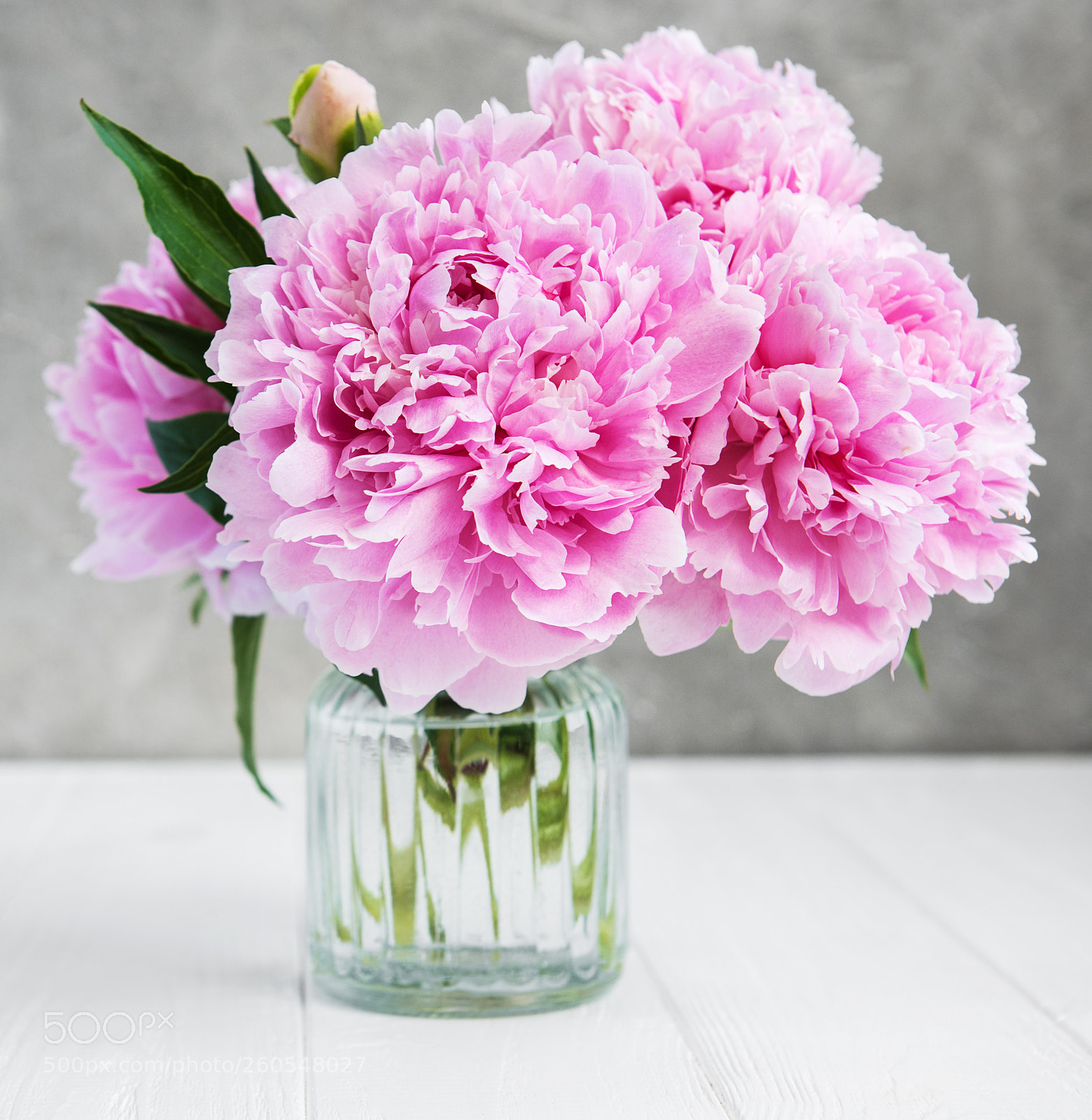 Nikon D750 sample photo. Pink peony flowers photography
