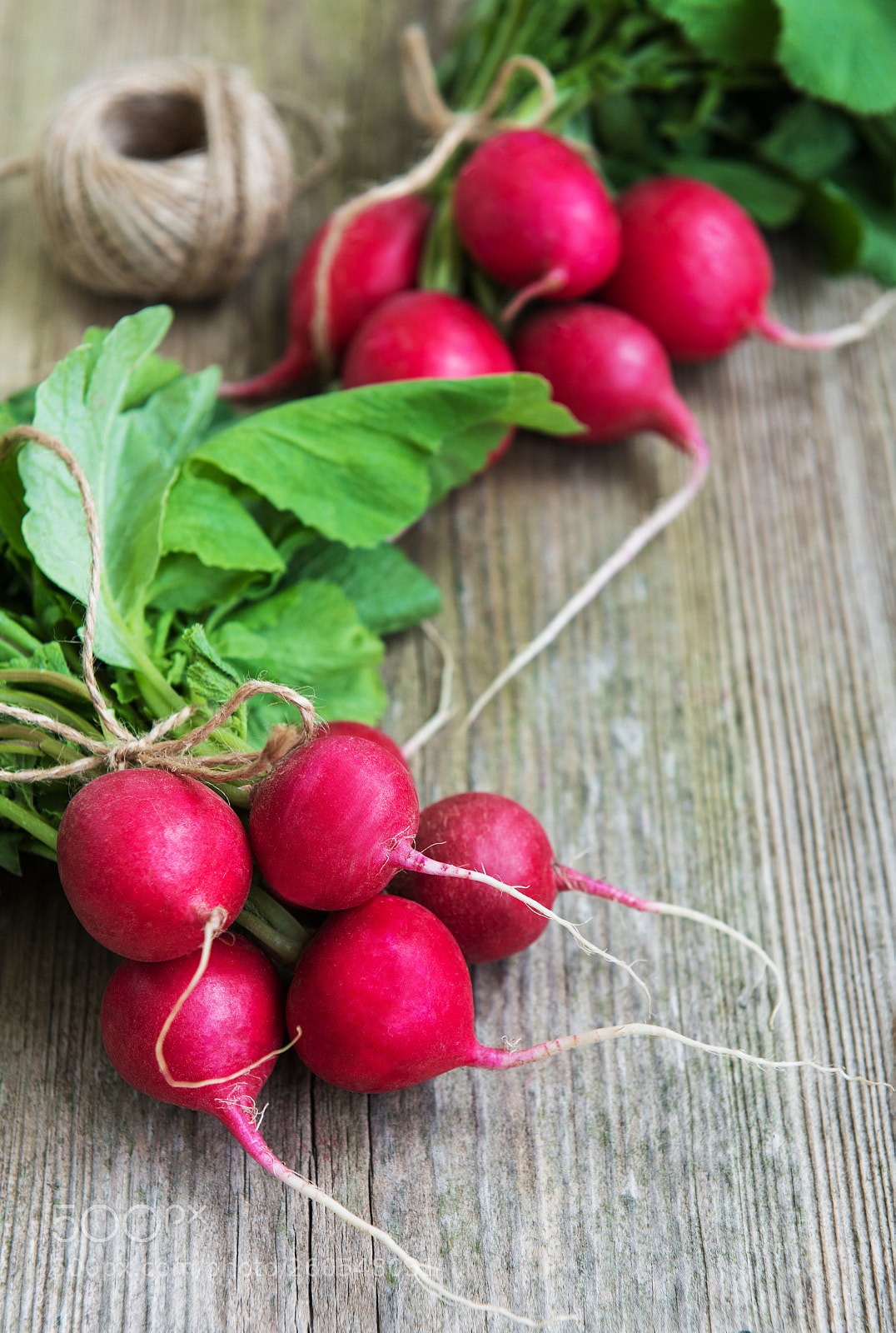 Nikon D750 sample photo. Fresh purple radish photography