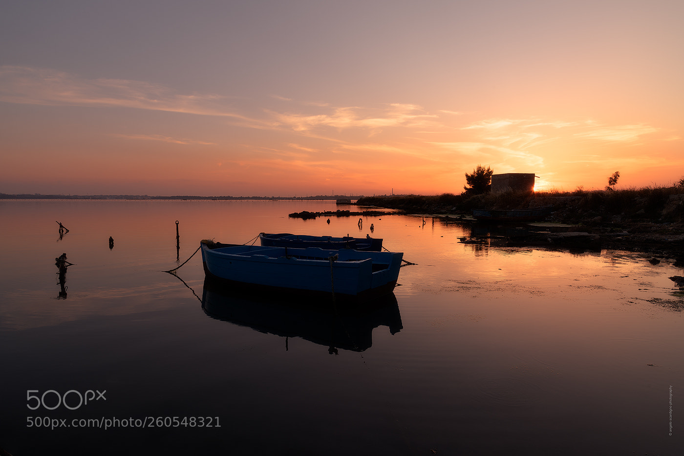 Nikon D850 sample photo. Circum mar piccolo at photography