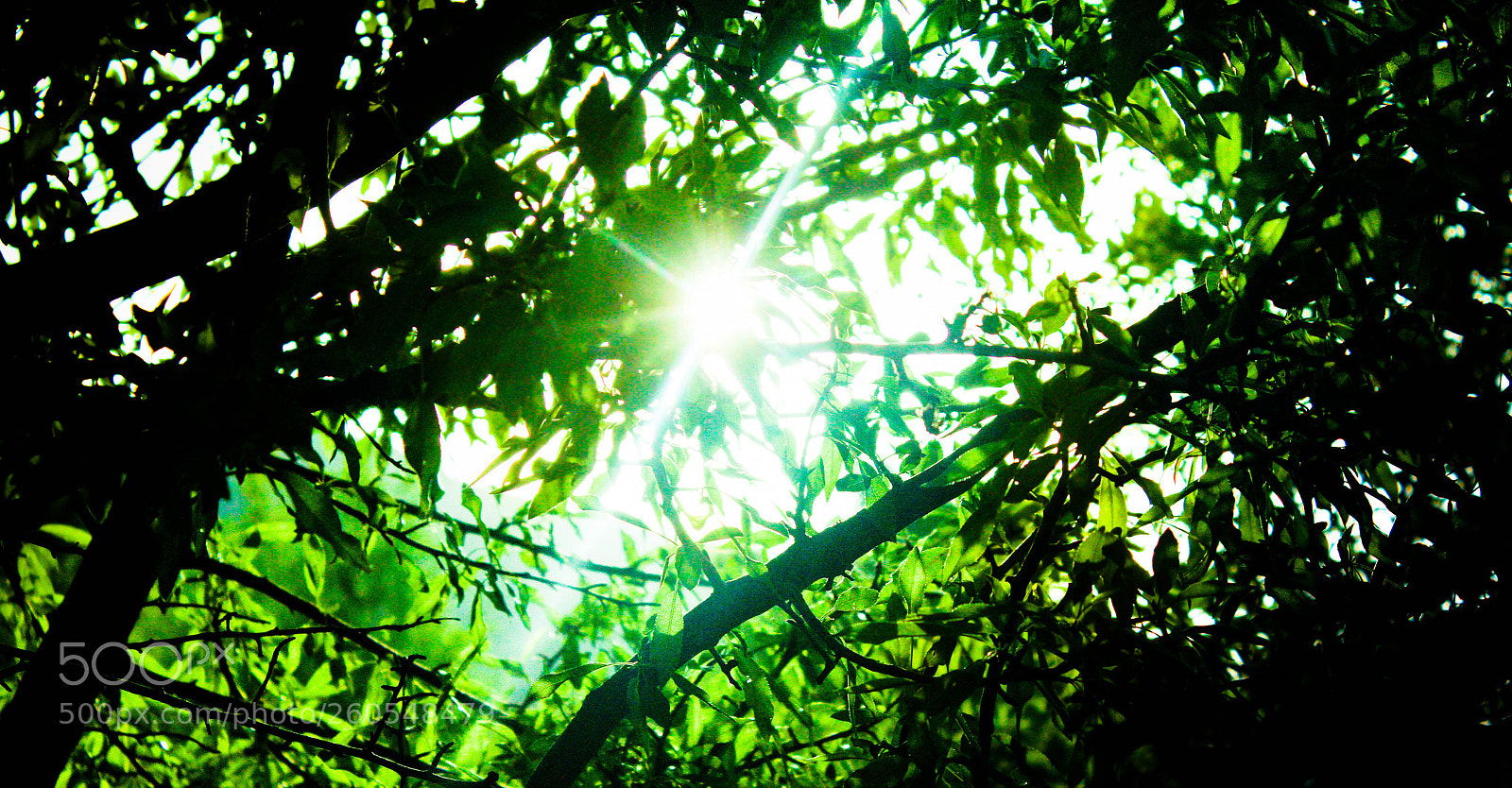 Canon EOS 7D sample photo. Untitled photography