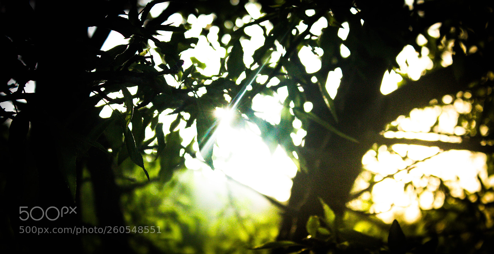 Canon EOS 7D sample photo. Untitled photography