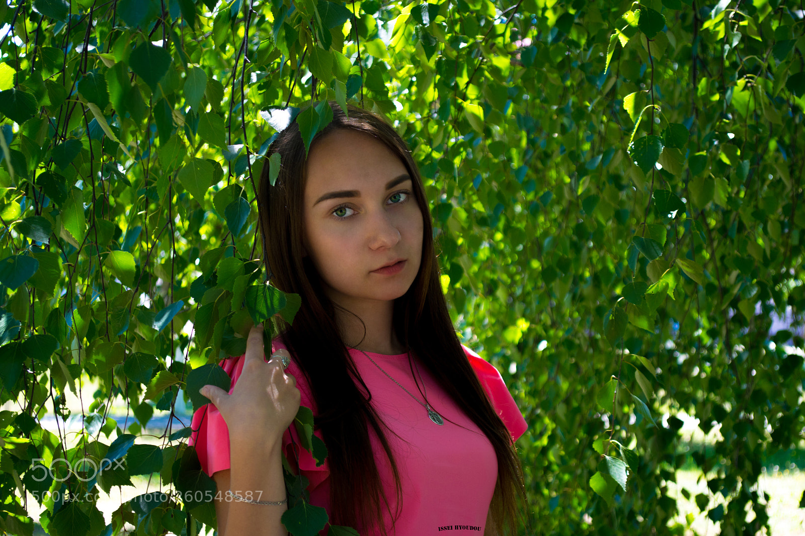 Nikon D3300 sample photo. Десвушка в берёзовике photography