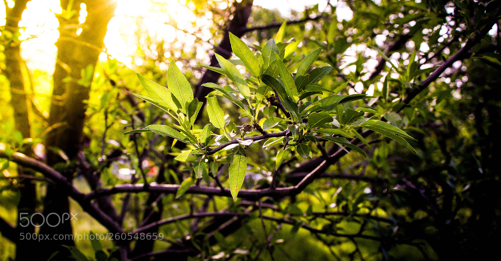 Canon EOS 7D sample photo. Untitled photography
