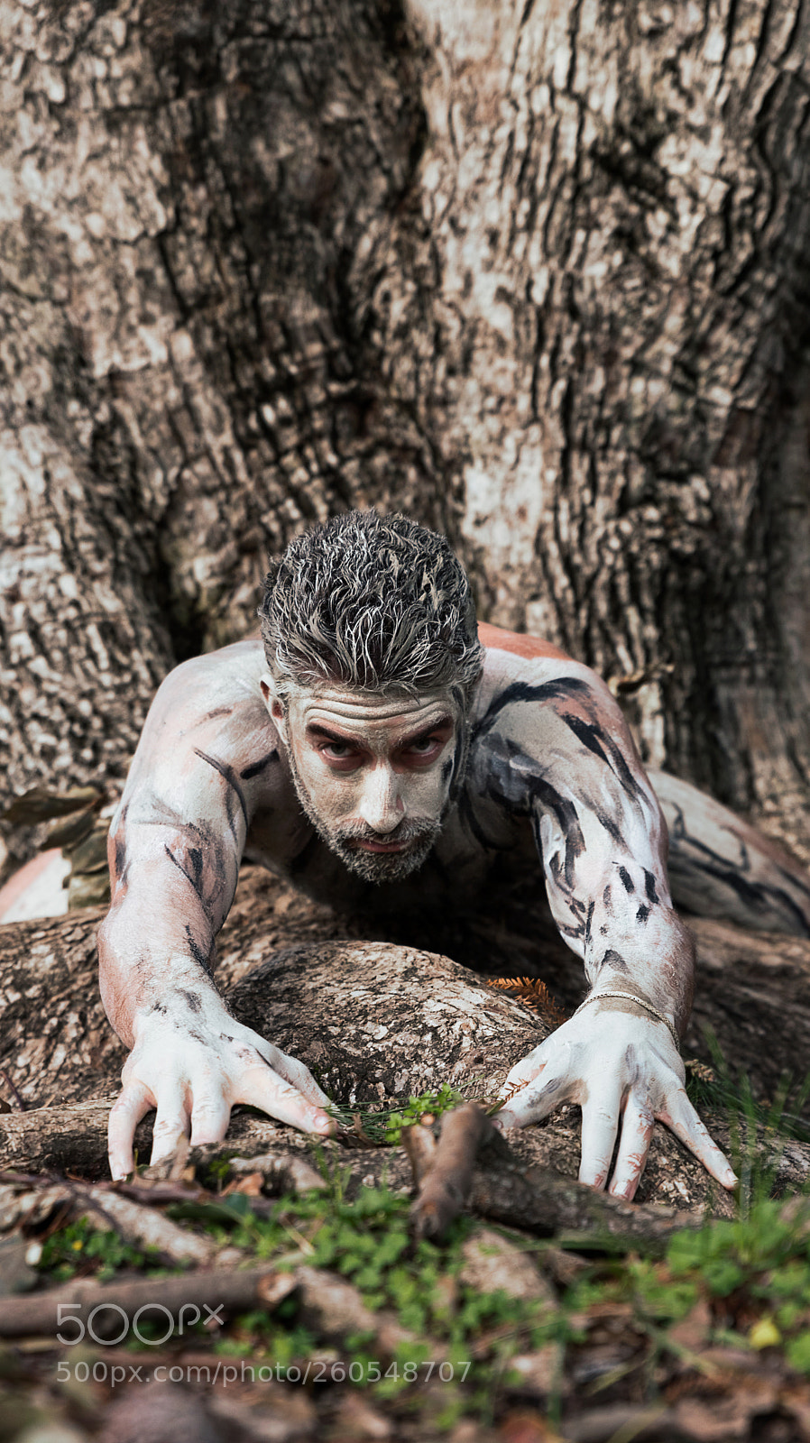 Nikon D750 sample photo. Human bowels photography
